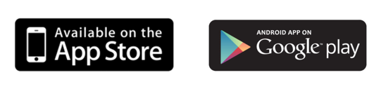 Mobile app preview