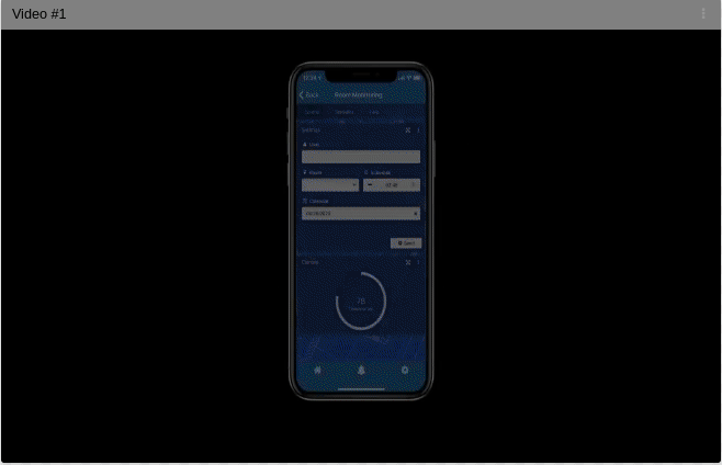 Video widget example